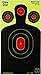 GlowShot Targets 100 Pack - 18x10 Silhouette New Bigger Splatter & Brighter Colors