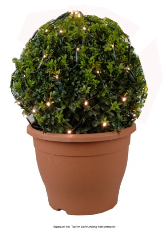 Ambientehome 51010 Lichternetz f&uuml;r Innen und Au&szlig;en mit 60 LED-Lichtern, warmwei&szlig;, Type 494886
