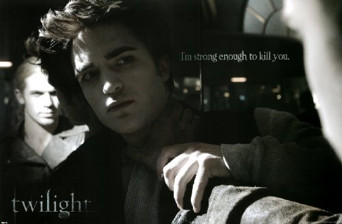 Cover image : Twilight (Struggle) Movie Poster Print - 24