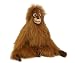 Orangutan Small Plush