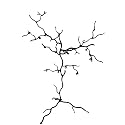 Twig Earring Tree Jewelry Rack Large Bronze