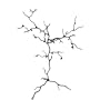 Twig Earring Tree Jewelry Rack Large Bronze