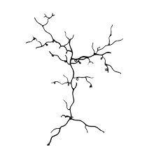 Twig Earring Tree Jewelry Rack Large Bronze