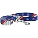 Chicago Cubs Royal Blue 6' Pet Leash - L