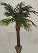 8' Real Wood Date palm Tree