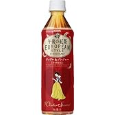 キリン 午後の紅茶 ヨーロピアンスタイル ウィンタースペシャル アップル&ジンジャー 500ml×24本