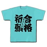 合格祈願東京大学 Tシャツ(アクア) M 東京大学