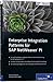 Enterprise Integration Patterns für SAP NetWeaver PI