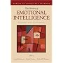 Science of Emotional Intelligence: Knowns and Unknowns (SERIES IN AFFECTIVE SCIENCE)
