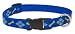 Lupine Medium Dog Collar - Dapper Dog (12-20 inches)