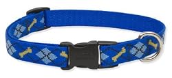 Lupine Medium Dog Collar - Dapper Dog (12-20 inches)