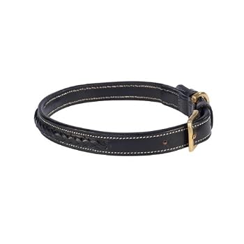 Zack & Zoey Pharaoh Dog Collar 14-18 Inches - Braided