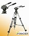 Fancierstudio AVTP Professional 75mm Video Camera Tripod with Fluid Drag Head By Fancierstudio FT9901 TT