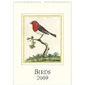 Birds, Song Birds Cavallini 2009 Vintage Prints Wall Calendar 13 by 19 inches cream laid paper finish