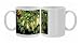 Photo Mugs of Kf-11743 Macadamia Nut Flowers from Ardea Wildlife Pets