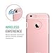 iPhone 6s Case, XDesign Inception Case [Apple Aluminum] TPU+PC [Triple Injected] Frame - Durable Stylish Protective Slim Case for Apple iPhone 6 / 6s (4.7 inch) - Rose Gold