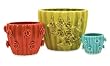 Set of 3 Colorful Red, Green & Blue Lily and Rose Flower Garden Patio Planters