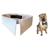 Calvin K-nine White Shirt Collar for Dogs Large