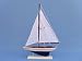 Pacific Sailer 17