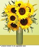 Sunflowers - B000P0QV26