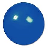 US Games 24in Blue Hugrs Ball