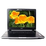 Sony VAIO VGN-AR705E/B Pentium Dual-Core T2330 1.6GHz 2GB 160GB DVD RW DL 17 Vista Home Premium w/Webcam