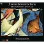 Bach: Missae Breves, BWV 234 & 235