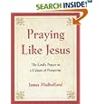 Praying Like Jesus: The Lord's Prayer in a Culture of Prosperity by  James Mulholland