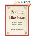 Click here to buy Praying Like Jesus: The Lord's Prayer in a Culture of Prosperity by  James Mulholland.