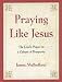 Related Praying Like Jesus: The Lord's Prayer in a Culture of Prosperity Image