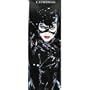 (25x70) Catwoman Movie (Pose in Black, Door) Poster Print