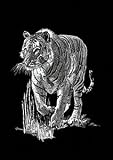 Eigenschaften Mammut / Tiger