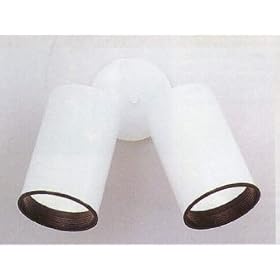 2 Canister Directional Lighting by 