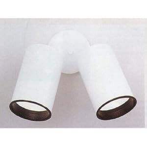2 Canister Directional Lighting by 