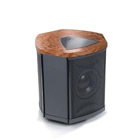 MartinLogan Depth i High-Performance Triple 8-Inch Servo-Control Subwoofer (Single, Rotary Cut Bubinga) by