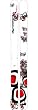 Dynastar Huge Trouble Ski "New" 2009 Model Size 185cm