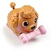 Chubby Puppies Single Pack Golden Doodle RS.3799.00