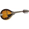 Johnson Mandolin A-Style with F Holes Sunburst