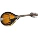 Johnson Mandolin A-Style with F Holes Sunburst