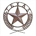 Texas Star Wall Plaque