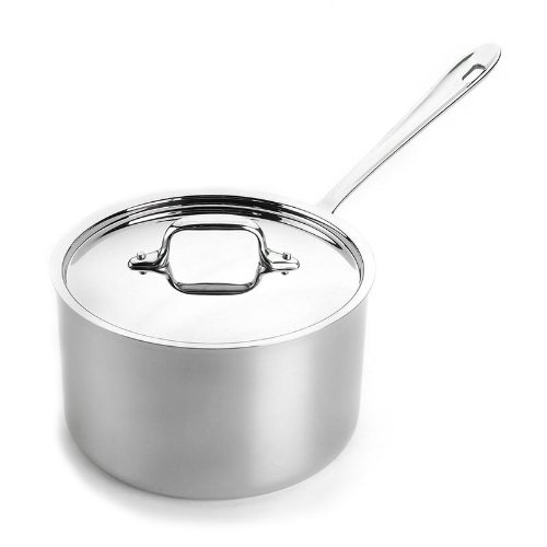 All-Clad Stainless Steel Saucepan with Lid All-Clad Stainless Steel Saucepan with Lid