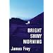 Bright Shiny Morning