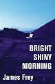 Bright Shiny Morning