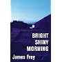 Bright Shiny Morning by James Frey