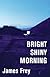 Bright Shiny Morning