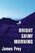 Bright Shiny Morning