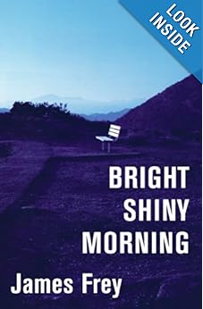 Bright Shiny Morning - James Frey