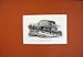 C1836 Ethiopian Wild Boar Animal Antique Print Fine Art