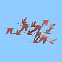 Flock of Geese Wall Art