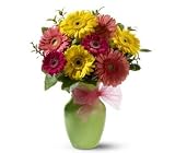 Teleflora's Daisy Dazzle